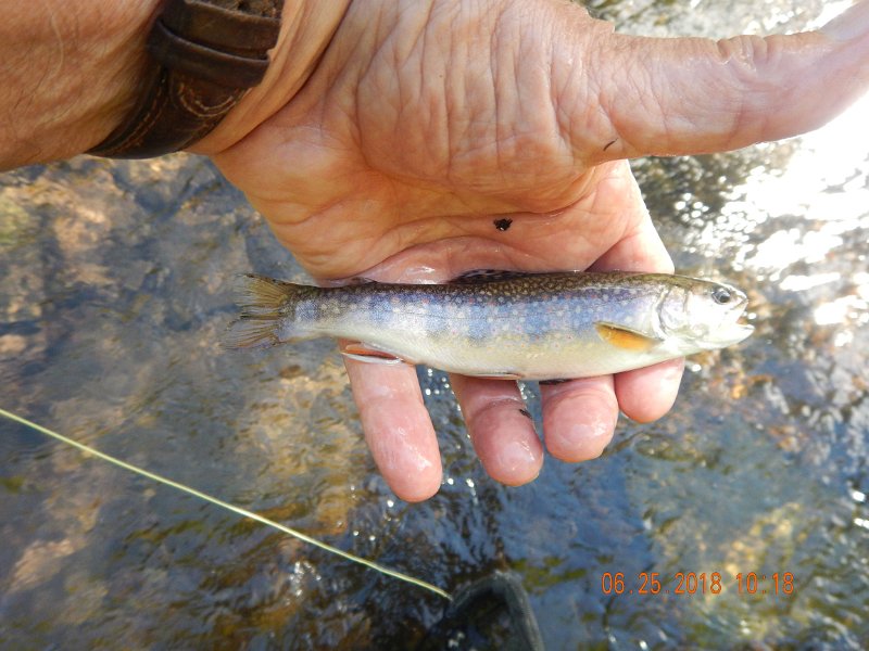-Kettle Valley-107-.jpg